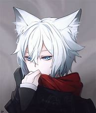 Image result for White Hair with Wolf Ears Anime