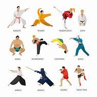 Image result for Styles of Martial Arts