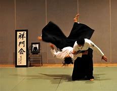 Image result for Aikido