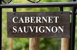 Image result for 12 Signs Cabernet Sauvignon