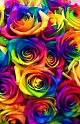 Image result for Free Rainbow Roses Wallpaper