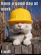 Image result for Stay Positive Cat at Work Meme