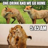 Image result for Friday Night Drinking Meme