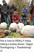 Image result for Vegan Turkey Meme