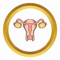 Image result for Ovary ClipArt