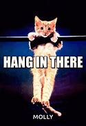 Image result for Funny Animals Hang in There