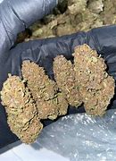 Image result for Passion Fruit Strain