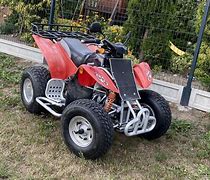 Image result for Suzuki Extreme X300 ATV