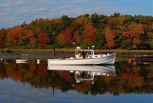 Image result for Maine Fall Foliage Wallpaper