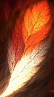 Image result for Apple Wallpaper for iPhone 11 Feather
