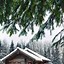 Image result for Winter Wallpaper for iPhone 11