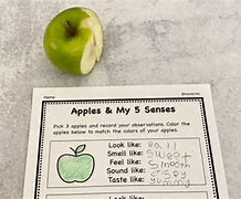 Image result for Apple Taste Test Five Senes Chart