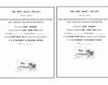 Image result for Cricket Worksheets for Kids