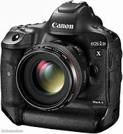 Image result for Best Long Lenses to Use On Canon 1DX MK II