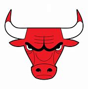 Image result for Chicago Bulls Mascot Logo