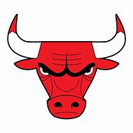 Image result for NBA Chicago Bulls Emblem