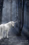 Image result for Unicorn Photography