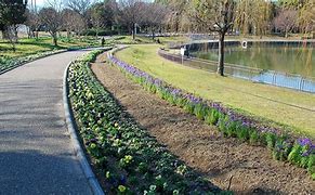Image result for Nagai Park