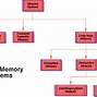 Image result for Memory Types Brain