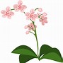 Image result for Orchid Crown India