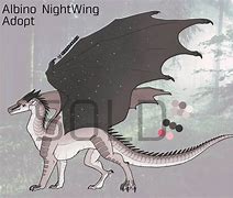 Image result for Albino Nightwing Art