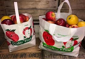 Image result for Apple Fruit Bag