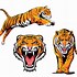 Image result for Tiger SVG Transparent Background
