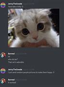 Image result for Wholesome Memes Discord