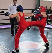 Image result for savate fighting