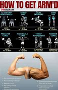 Image result for How to Increase Arm Muscle Size