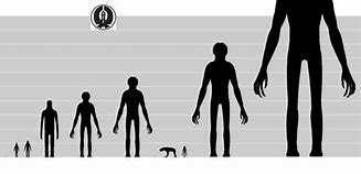 Image result for 14 Meters Next to Human