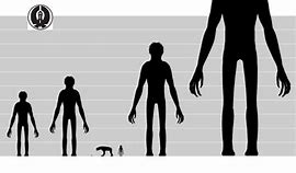 Image result for 4 Meters Tall