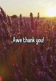 Image result for Awe Thanks
