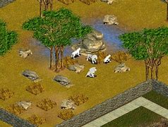 Image result for co_to_za_zoo_tycoon