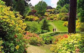 Image result for Expensive Gardens
