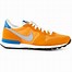 Image result for Orange and Black Men's Nike Shoes