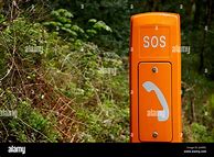 Image result for Forest Phone Box