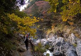 Image result for Tama River