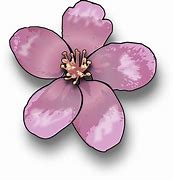 Image result for Apple Logo Flowers