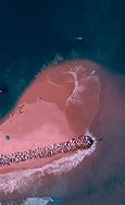 Image result for Pink Sand Beach Bahamas