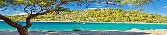 Image result for Rabbit Beach Lampedusa Italy