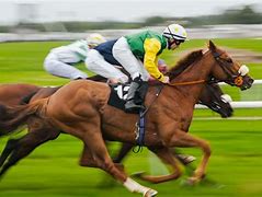 Image result for Horses Racing in the Morning