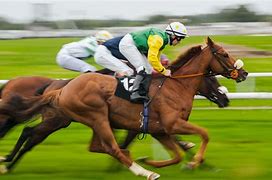 Image result for Race Horse Jockey