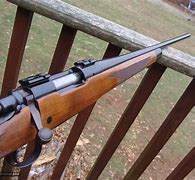 Image result for Remington 700 Mountain Rifle 243