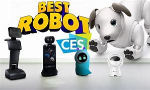 Image result for Personal Assistant Robot