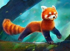 Image result for Red Panda Art