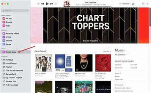 Image result for iTunes Music Store Login
