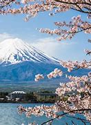 Image result for Where Is Mount Fuji