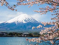 Image result for fuji_