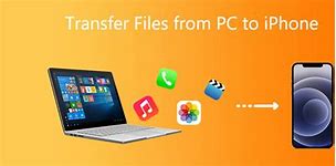 Image result for How Dto Transfer iPhone